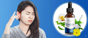 EchoXen