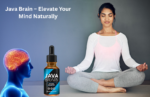 Java Brain