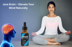 Java Brain