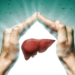 liver health