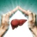 liver health