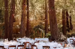 micro wedding venues california