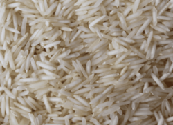 basmati 1121 rice exporters in india