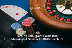 Turning Small Game Wins into Meaningful Gains with Oldtenexch ID