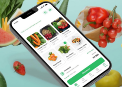 grocery app