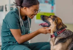veterinary hospital