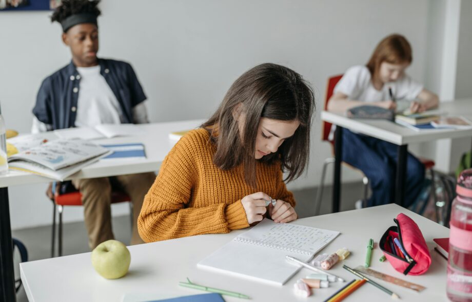 gcse assignment help