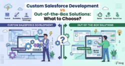 Custom Salesforce Development vs Out-of-the-Box Solutions: What to Choose