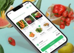grocery app