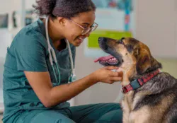 veterinary hospital