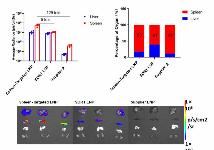 Extrahepatic RNA Delivery